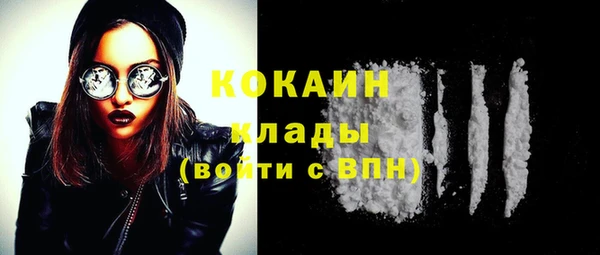 прущие грибы Новодвинск