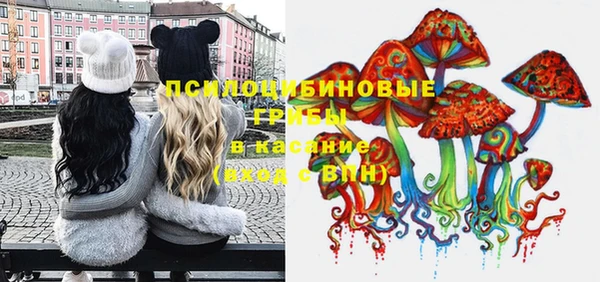 дмт Алзамай