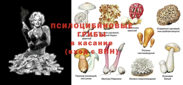 дмт Алзамай