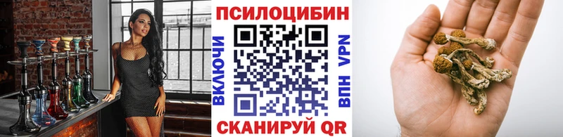 Псилоцибиновые грибы Psilocybe  цены   Фатеж 